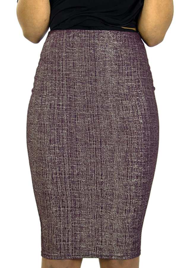 Stylish Metallic High waisted Pencil skirt