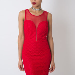 Stylish Plunge Lace Bodycon Dress